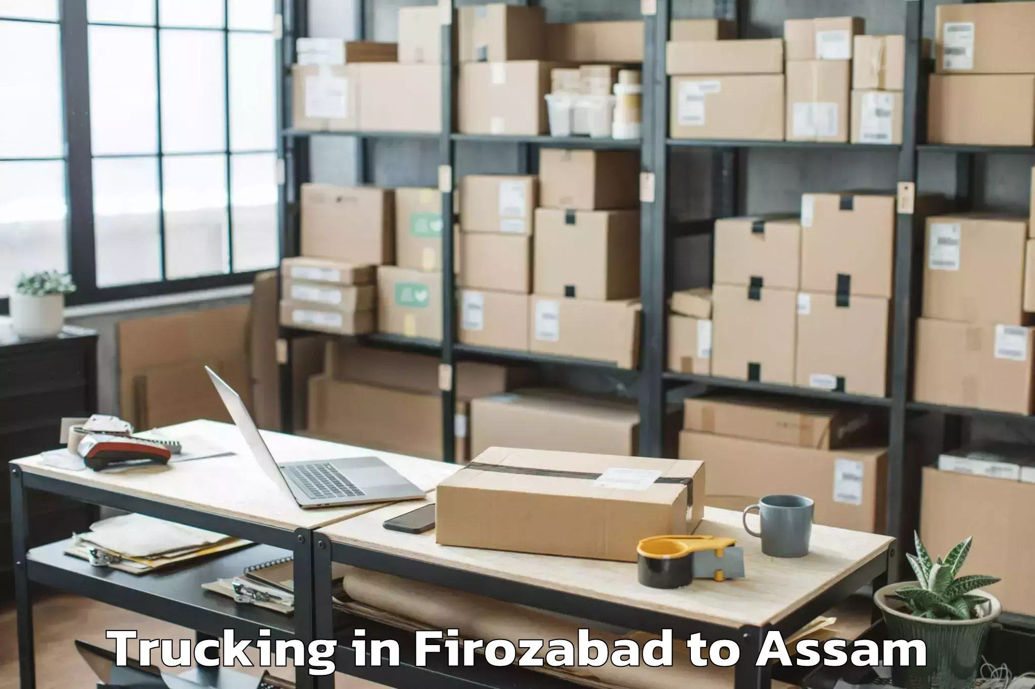 Book Firozabad to Bilasipara Pt Trucking